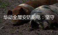 快排公司十年历程，霸屏兔 seo 的崛起与坚守