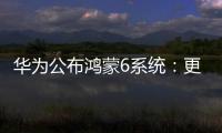 华为公布鸿蒙6系统
：更开放�、更流畅
、更智能
