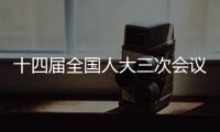 十四届全国人大三次会议闭幕会表决通过关于最高人民法院工作报告的决议