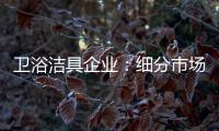卫浴洁具企业：细分市场 重新规划布局
