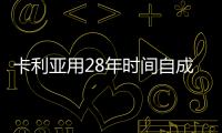 卡利亚用28年时间自成一派，全钢派!