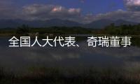 快排公司十年历程，霸屏兔 seo 的崛起与坚守