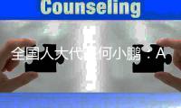 全国人大代表何小鹏：AI会加大科技与制造公司间的差距