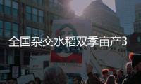 全国杂交水稻双季亩产3000斤项目在三亚首获丰收