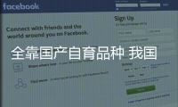 全靠国产自育品种 我国小麦播种面积减少产量却大增
