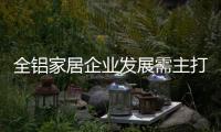 快排公司十年历程，霸屏兔 seo 的崛起与坚守