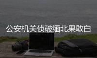 公安机关侦破缅北果敢白家犯罪集团专案