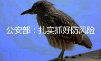 公安部�	：扎实抓好防风险
�、保安全	、保畅通工作