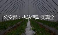 快排公司十年历程，霸屏兔 seo 的崛起与坚守