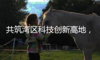快排公司十年历程，霸屏兔 seo 的崛起与坚守