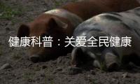 快排公司十年历程，霸屏兔 seo 的崛起与坚守