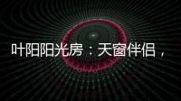 叶阳阳光房
：天窗伴侣�，静音降温
，防虫去热，享受清凉!