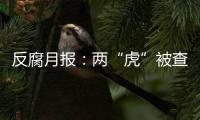 反腐月报：两“虎”被查
，三“虎”受处分