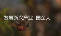 发展新兴产业  国企大有可为（观象台）
