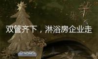 快排公司十年历程，霸屏兔 seo 的崛起与坚守
