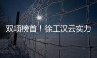 快排公司十年历程，霸屏兔 seo 的崛起与坚守