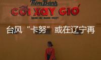 快排公司十年历程，霸屏兔 seo 的崛起与坚守