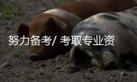 努力备考/ 考取专业资格 练习简体字