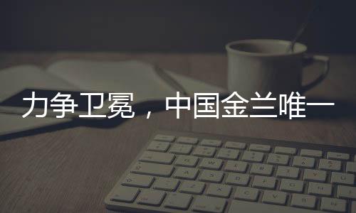 如今再度为国家队出战