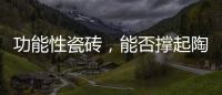功能性瓷砖，能否撑起陶瓷行业的“新蓝海”