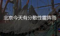 快排公司十年历程，霸屏兔 seo 的崛起与坚守