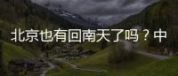快排公司十年历程，霸屏兔 seo 的崛起与坚守