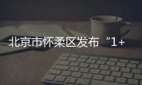 快排公司十年历程，霸屏兔 seo 的崛起与坚守