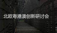快排公司十年历程，霸屏兔 seo 的崛起与坚守