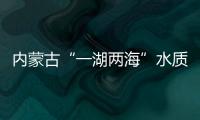 内蒙古“一湖两海”水质向好 野生动植物种类增加