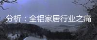 分析
：全铝家居行业之痛