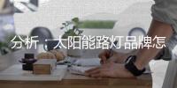 分析：太阳能路灯品牌怎样把握高端市场?