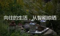 快排公司十年历程，霸屏兔 seo 的崛起与坚守