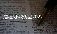 快排公司十年历程，霸屏兔 seo 的崛起与坚守