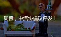 周榜，中汽协倡议停发！