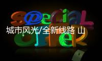 快排公司十年历程，霸屏兔 seo 的崛起与坚守