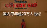 国内每年超20万人被蛇咬伤，怎样才能及时用上救命血清？