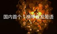 国内首个�！横琴首发葡语大模型