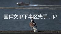 快排公司十年历程，霸屏兔 seo 的崛起与坚守