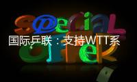 快排公司十年历程，霸屏兔 seo 的崛起与坚守