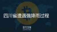 快排公司十年历程，霸屏兔 seo 的崛起与坚守