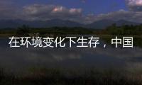 在环境变化下生存
，中国十大管业品牌以最快的速度做调整