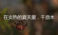 在炎热的夏天里，千鼎木门为您送上一份清凉!