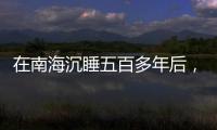 在南海沉睡五百多年后	，它们终于出水展出