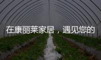 在康丽莱家居�，遇见您的专属床垫