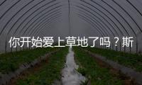 快排公司十年历程，霸屏兔 seo 的崛起与坚守