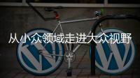 从小众领域走进大众视野 整理收纳师走俏为哪般
？