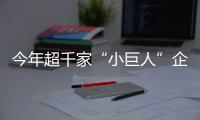 快排公司十年历程，霸屏兔 seo 的崛起与坚守