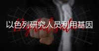 以色列研究人员利用基因手段使小鼠心脏“变年轻