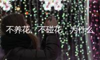 不养花、不碰花

，为什么还会花粉过敏�？