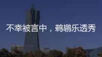 不幸被言中，鹈鹕乐透秀场上表现低迷�，模板申京打法却天差地别